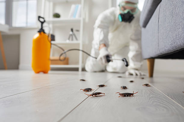 Trusted Termite Control service in Gages Lake, IL - Nex Pest Control