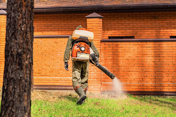 Trusted Rodent Control service in Gages Lake, IL - Nex Pest Control